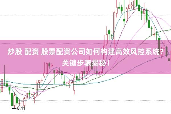 炒股 配资 股票配资公司如何构建高效风控系统？关键步骤揭秘！