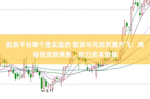 配资平台哪个是实盘的 配资与风投双翼齐飞：揭秘投资新策略，助力资本增值
