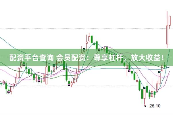 配资平台查询 会员配资：尊享杠杆，放大收益！
