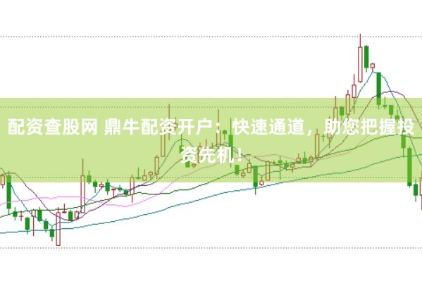 配资查股网 鼎牛配资开户：快速通道，助您把握投资先机！
