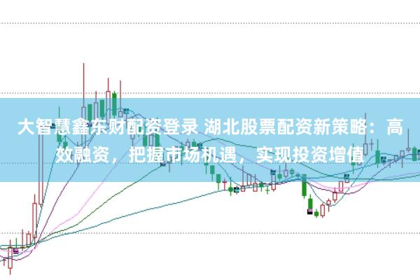 大智慧鑫东财配资登录 湖北股票配资新策略：高效融资，把握市场机遇，实现投资增值