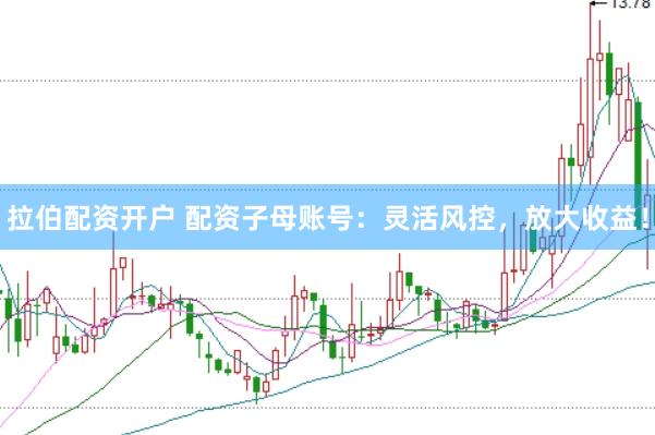 拉伯配资开户 配资子母账号：灵活风控，放大收益！