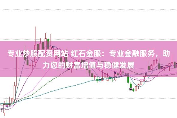 专业炒股配资网站 红石金服：专业金融服务，助力您的财富增值与稳健发展