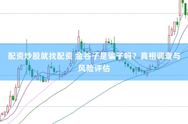 配资炒股就找配资 金谷子是骗子吗？真相调查与风险评估