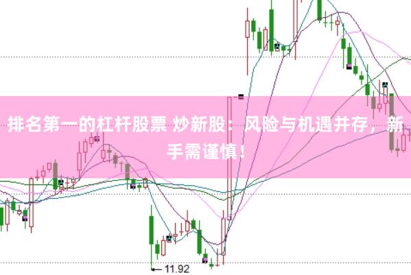 排名第一的杠杆股票 炒新股：风险与机遇并存，新手需谨慎！