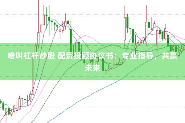 啥叫杠杆炒股 配资投顾协议书：专业指导，共赢未来