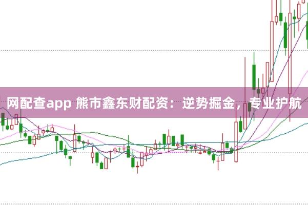 网配查app 熊市鑫东财配资：逆势掘金，专业护航