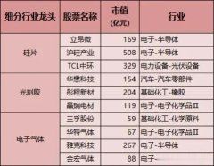 股票配资适合哪些客户 半导体细分龙头: 光刻机+EDA+芯片+封测, 社保、中央汇金重仓