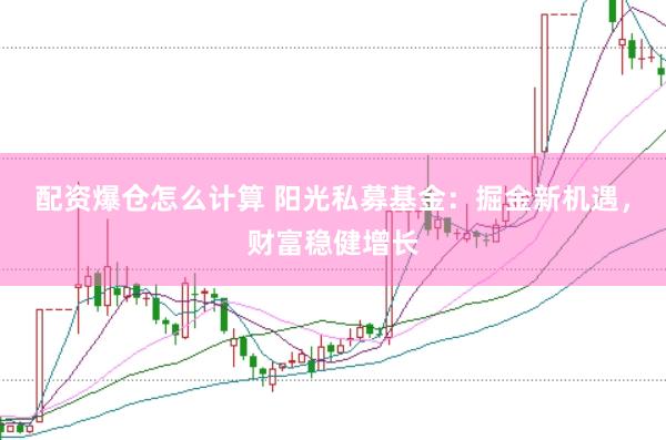配资爆仓怎么计算 阳光私募基金:掘金新机遇,财富稳健增长